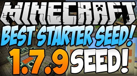Best-Starter-Seed.jpg