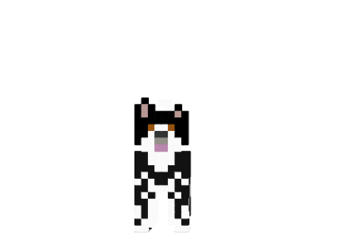 Collie-skin.png