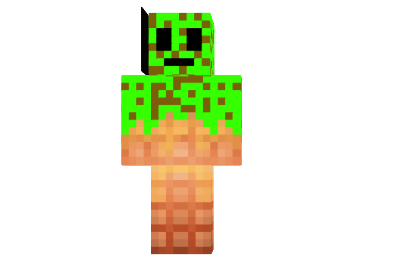 Do-not-vote-for-me-skin.png