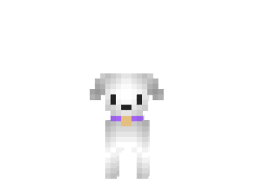 Maltese-dog-skin.png