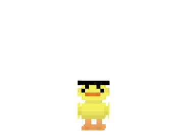 Ninja-duck-skin.png