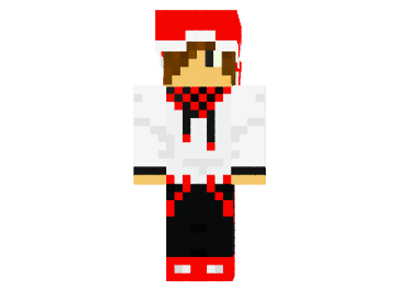 Sushonka-net-skin.png