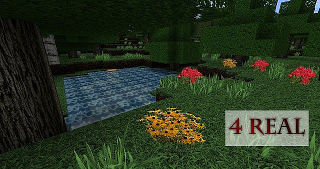 http://img.niceminecraft.net/TexturePack/4-real-texture-pack.jpg