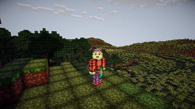 http://img.niceminecraft.net/TexturePack/Bcraft-texture-pack-2.jpg