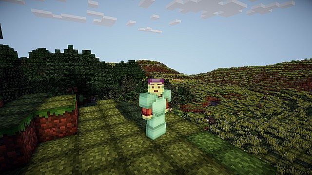 http://img.niceminecraft.net/TexturePack/Bcraft-texture-pack-3.jpg