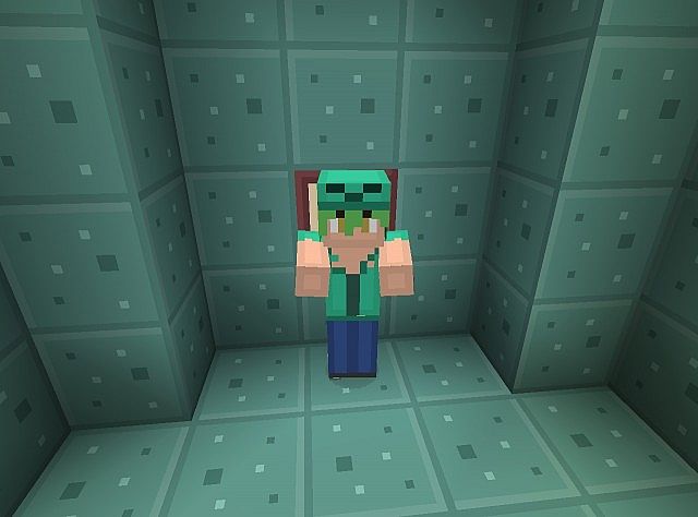 http://img.niceminecraft.net/TexturePack/Carrecraft-texture-pack-3.jpg