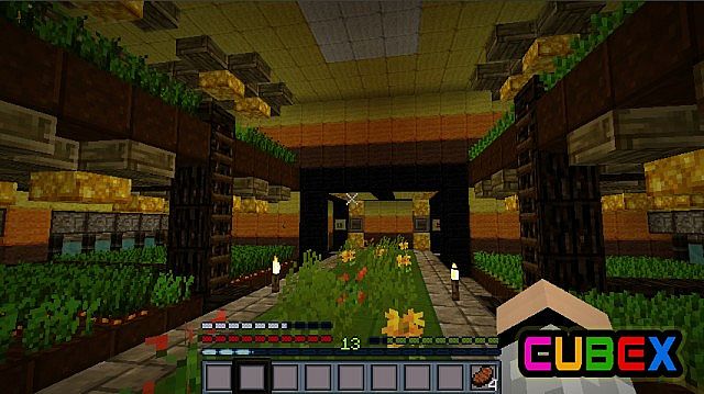 http://img.niceminecraft.net/TexturePack/Cubex-texture-pack-3.jpg