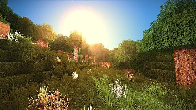 http://img.niceminecraft.net/TexturePack/Skyrim-reloaded-texture-pack-2.jpg