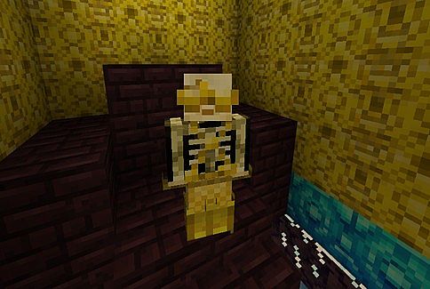 http://img.niceminecraft.net/TexturePack/Treasure-town-texture-pack-8.jpg