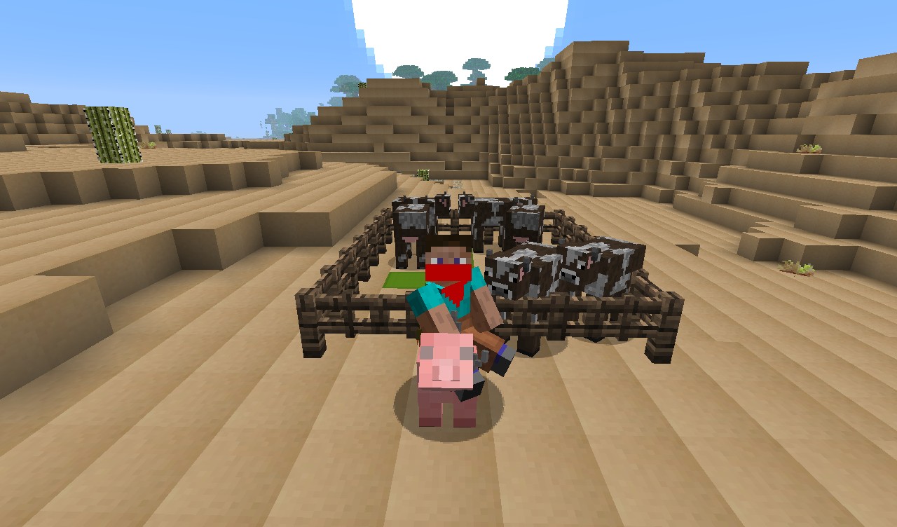http://img.niceminecraft.net/TexturePack/Westcraft-texture-pack-1.jpg