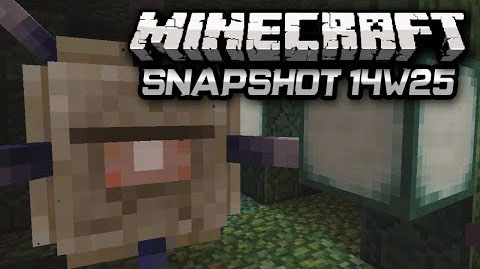 Snapshot-14w25b.jpg